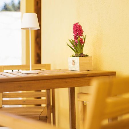 La Casetta Di Grace Sesto Fiorentino Zewnętrze zdjęcie